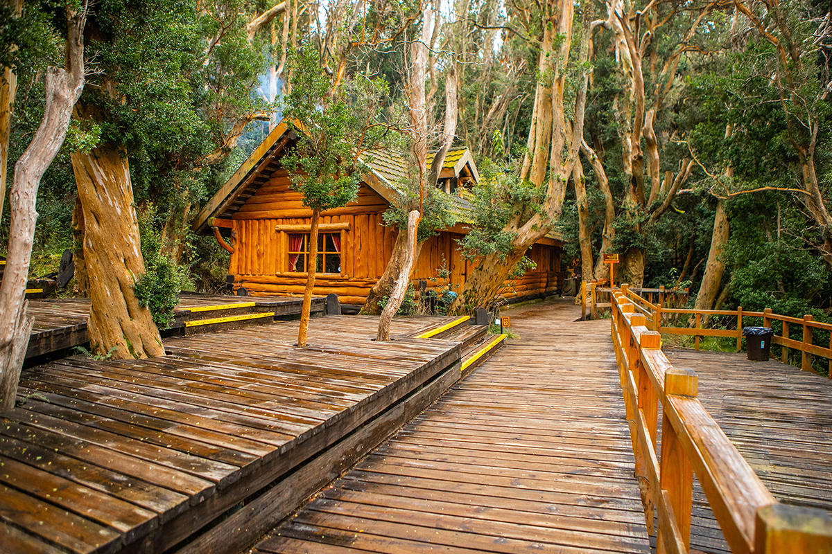 Isla Victoria & Bosque de Arrayanes