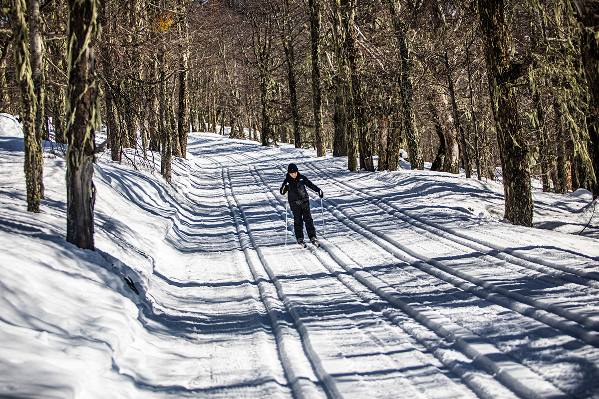 Ski Nórdico