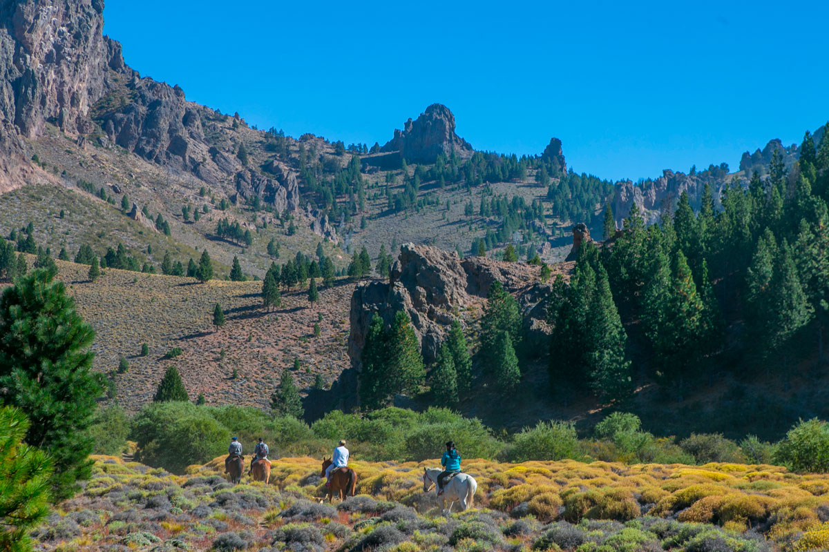 Cabalgata por la Estepa Patagónica