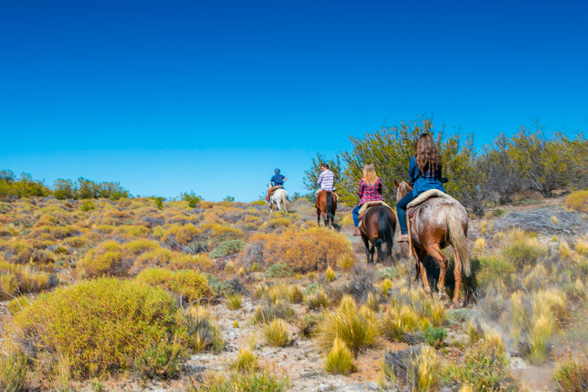 Cabalgata por la Estepa Patagónica